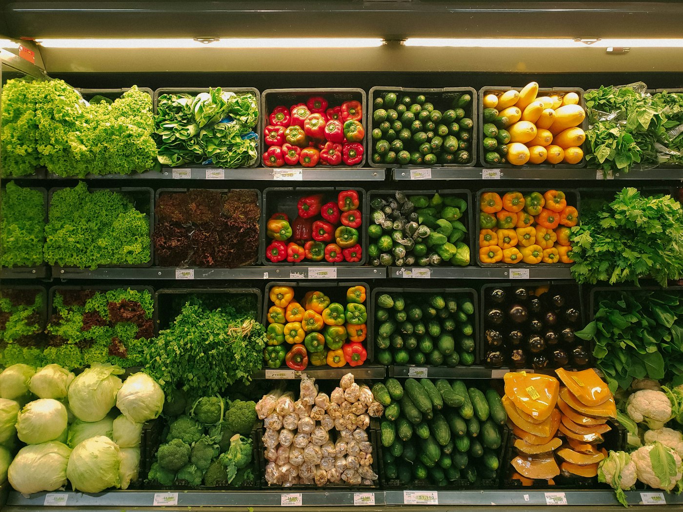 Meal Planning 101: A Beginner's Guide